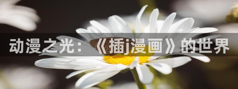 漫蛙漫画高清漫画：动漫之光：《插j漫画》的世界