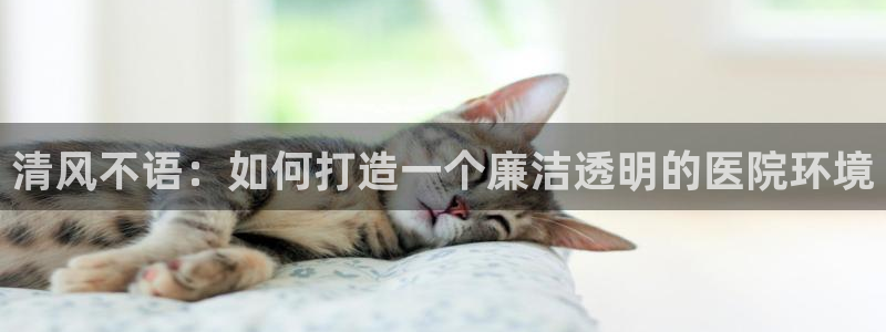 漫蛙漫画最新：清风不语：如何打造一个廉洁透明的医院环境